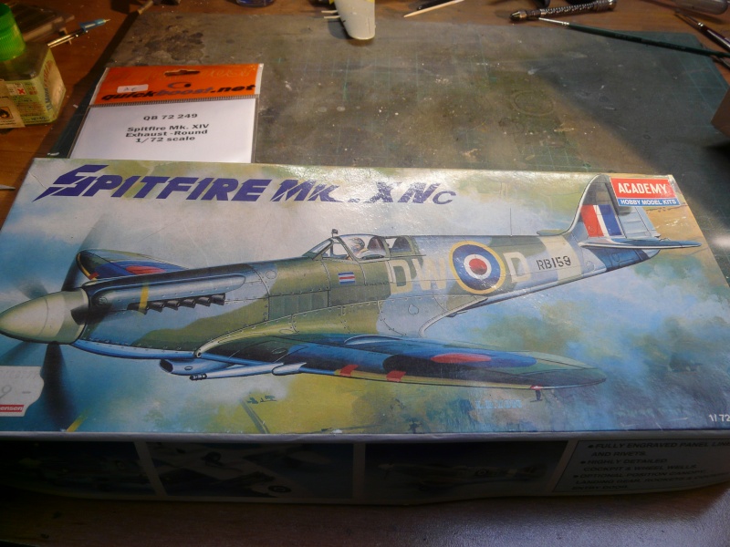 spitfire mk XIV C  FINI P1130329
