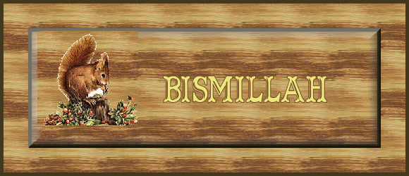 Les signatures des invites Bismil10