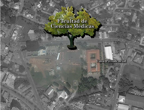 GRAN PLANTON ENFRENTE DE CASA PRESIDENCIAL Planto10