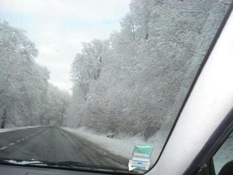 tout blanc Dsc02114