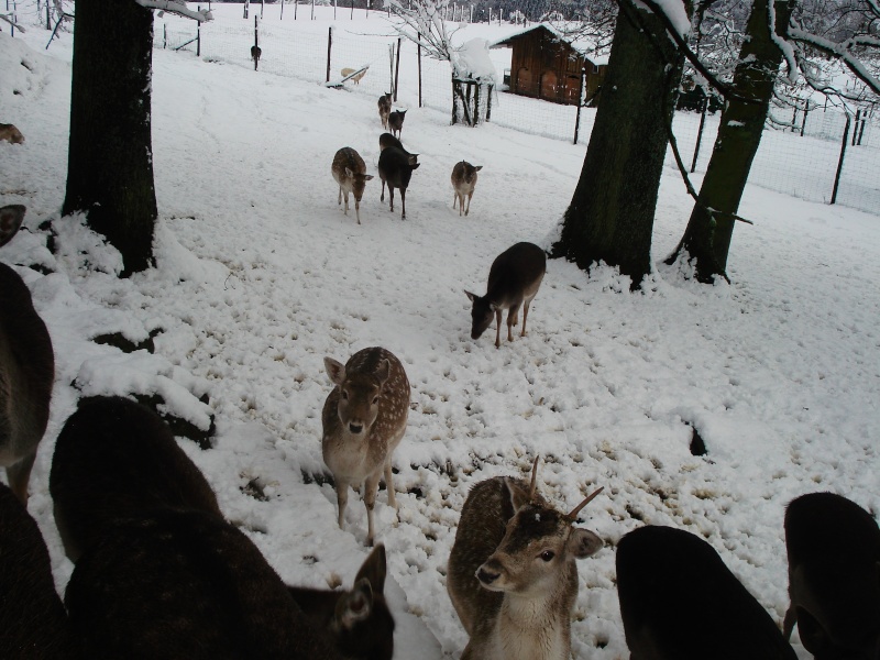 tout blanc Dsc02126