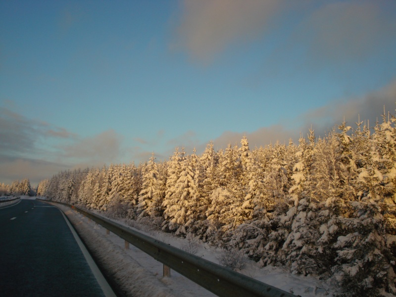 tout blanc Dsc02135