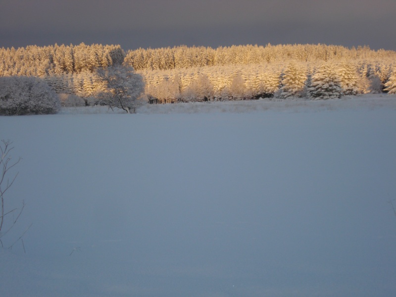 tout blanc Dsc02137