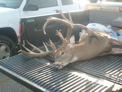 Monster Buck Taken From Our Great State 12248712