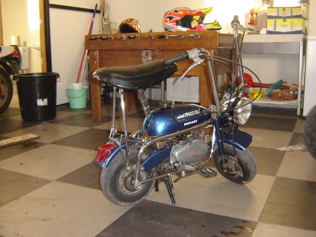 ¿Ducati Mini chooper? Motos_10