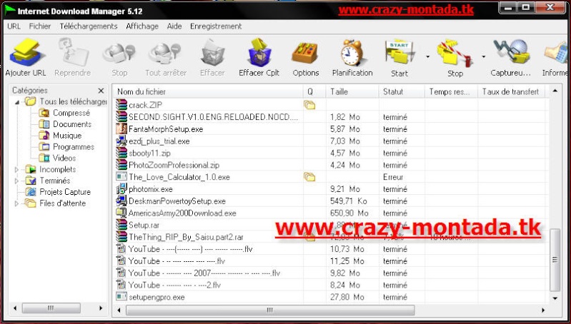 تحميل Internet Download Manager 5.12 بحجم 2.45 ميغا دون 117