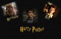 Harry Potter : fanarts - Page 3 Wallpa14