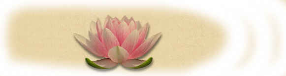 Une nouvelle fleur dans le jardin Lotus11