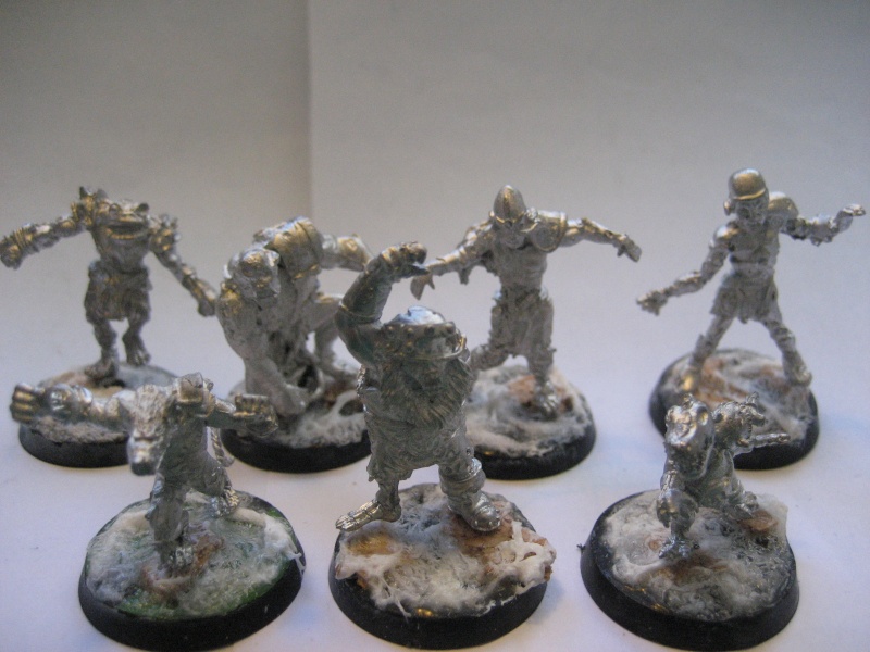 [CDA-01] Rottingor Ravens (Nurgle) Ligue BN Img_4515