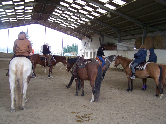 3 janvier - western au HDI. - Page 2 Cheval17