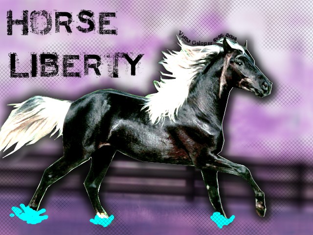 Xx Horse Liberty xX