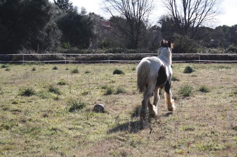 calios mon doudou ^^ Img_4113