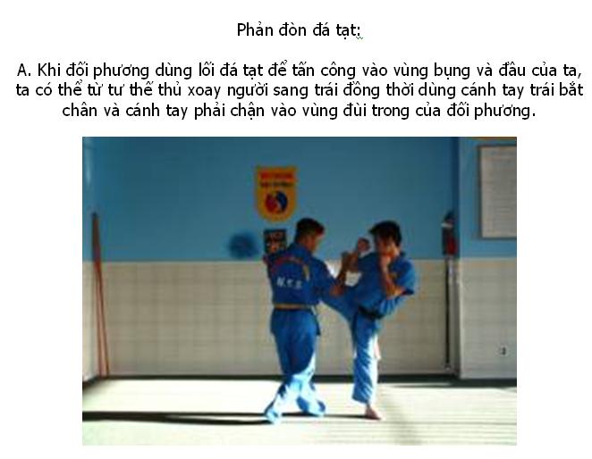 Phản đòn căn bản trình độ 2 - Môn phái Vovinam-Việt Võ Đạo 3110