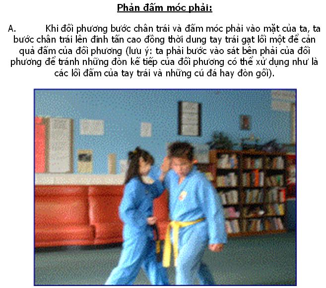 Phản đòn căn bản trình độ 2 - Môn phái Vovinam-Việt Võ Đạo 511