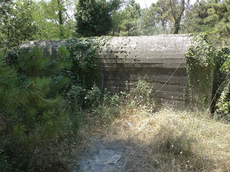 Bunker et tobrouks Marina di Ravenna 28072010
