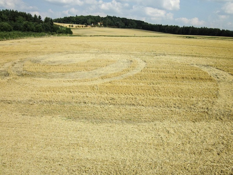 Crop Circles 2013. - Page 14 Tchaqu12