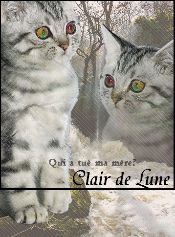 .:: Clair de Lune ::. Clair_10