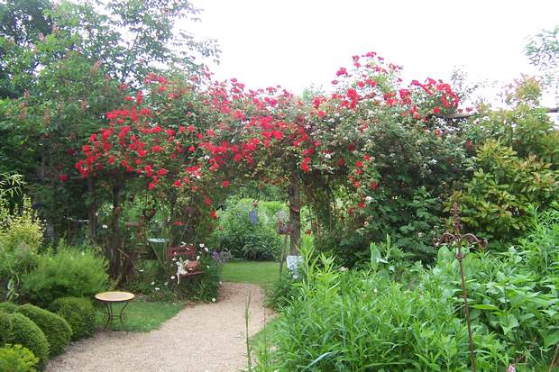 Le jardin préféré des français sur france 2 2012_311