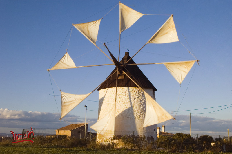 carmen - Molinos de viento y Arquitectura del Campo de Cartagena Molino10