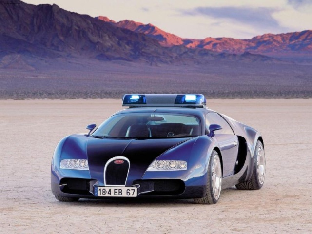 Aston martin de la gendarmerie !!!! 15_bug10