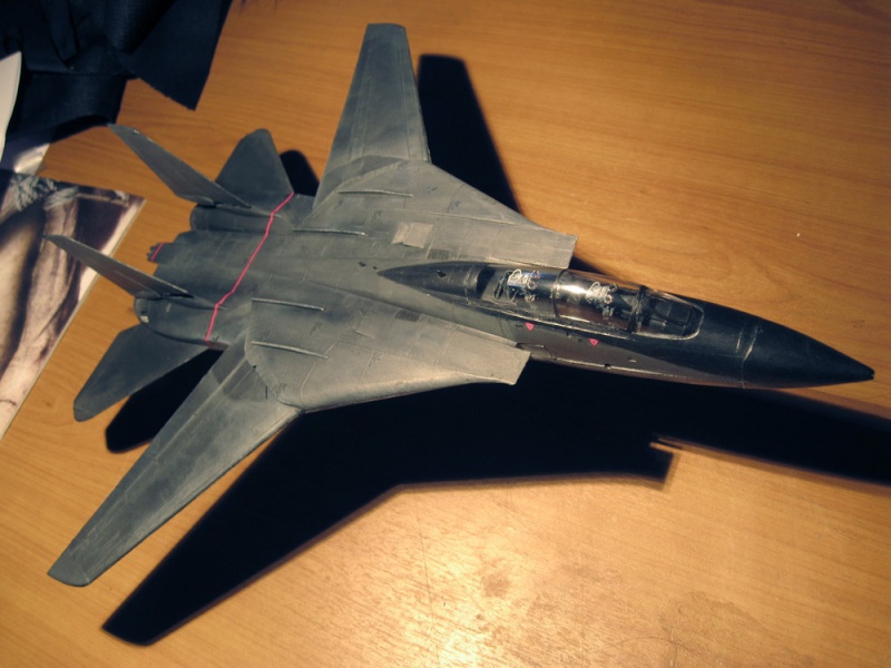 A ben tiens, revoilà l'autre! P2!! F-14_y10