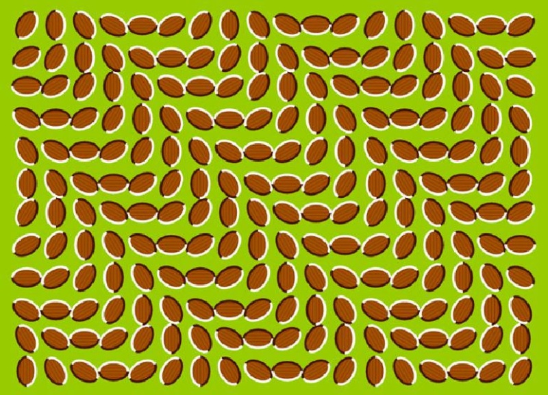 Les illusions d'optique Illusi14