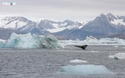 冰天動地-格陵蘭 Wallpa18