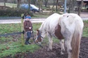 ONYX - ONC Poney né en 2002 - adopté en décembre 2008 par Rodéo - Page 2 Nixou10