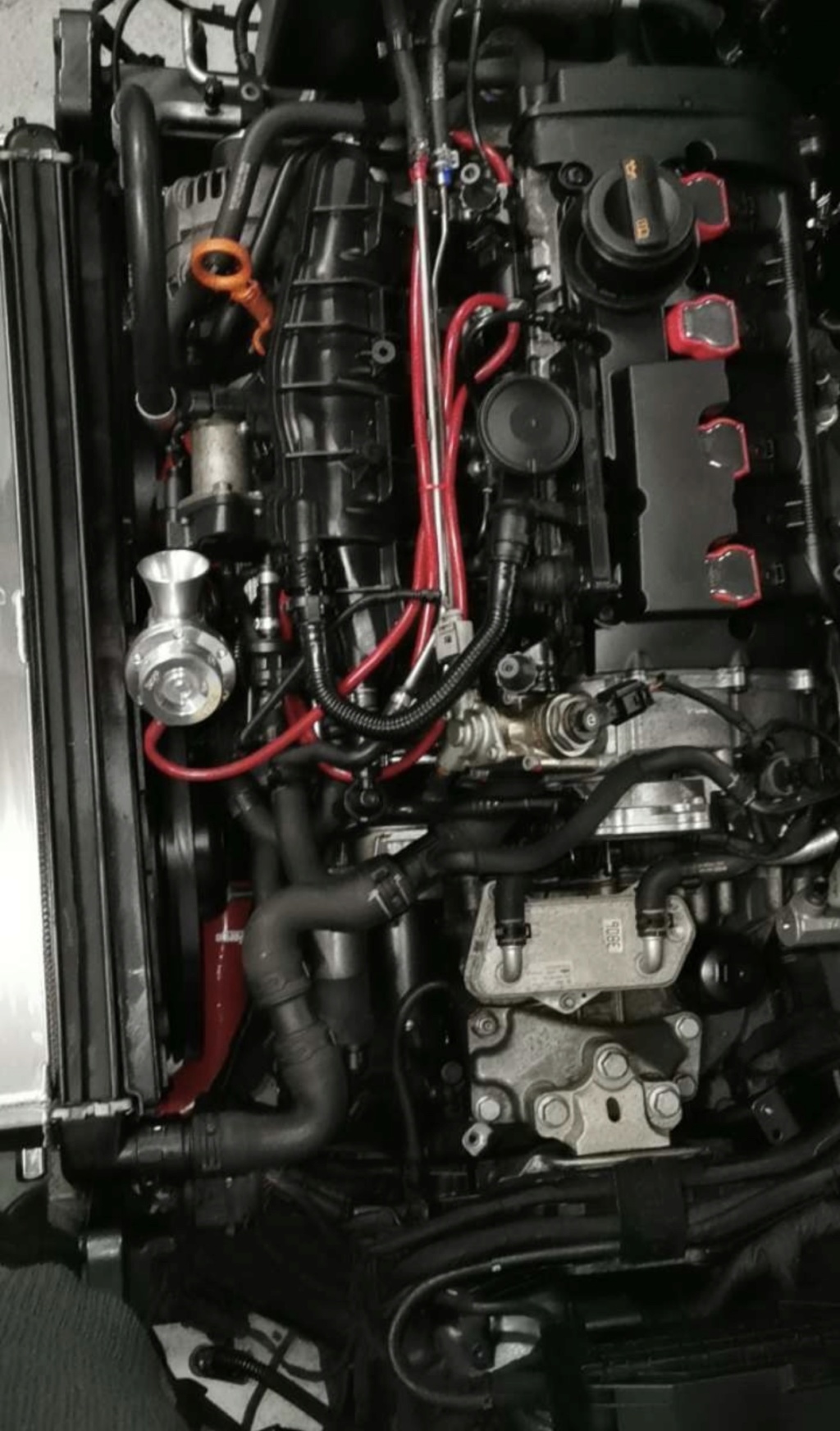 Mon TT ROADSTER MK2 9cf0d210