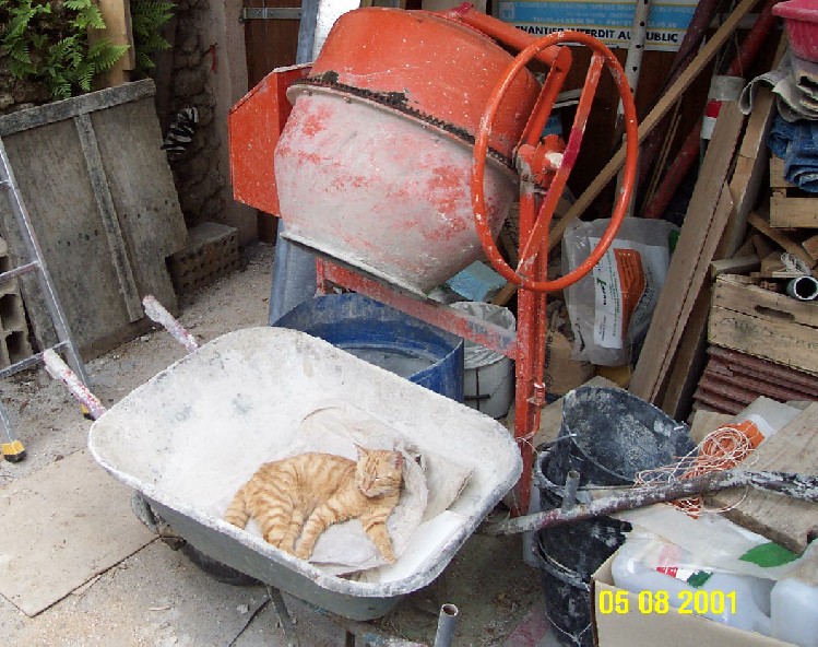 L'art de faire la sieste (par nos amis les chats) Chat_d14