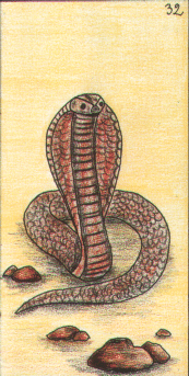 32- Le serpent 322tu110