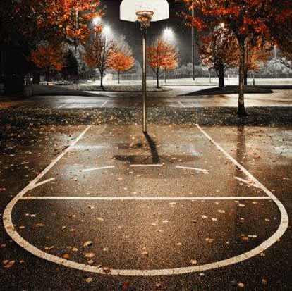Basketball Basket10
