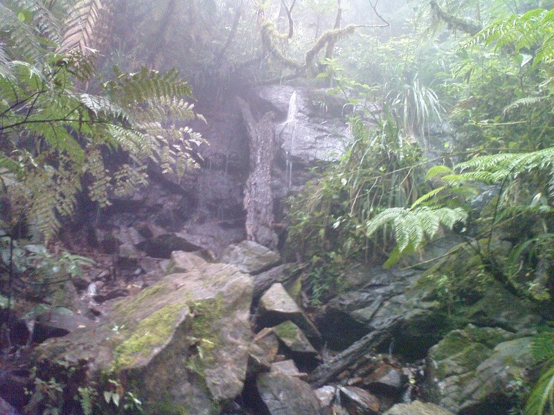 giras a coban biotopo el quetzal imagenes 2008 Dsc00011