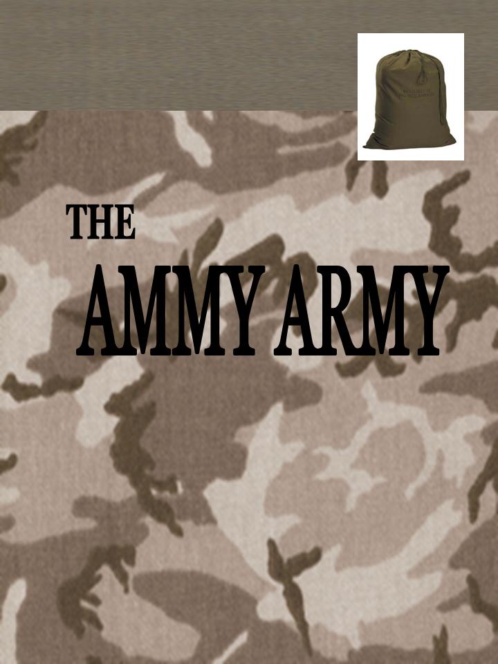 AMMY ARMY STALL DRAPES Stalld10