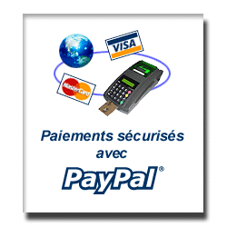 BAISSE DE PRIX! AEG 100€ FDP IN! M4 RIS DiBoys Full Metal Paypal10