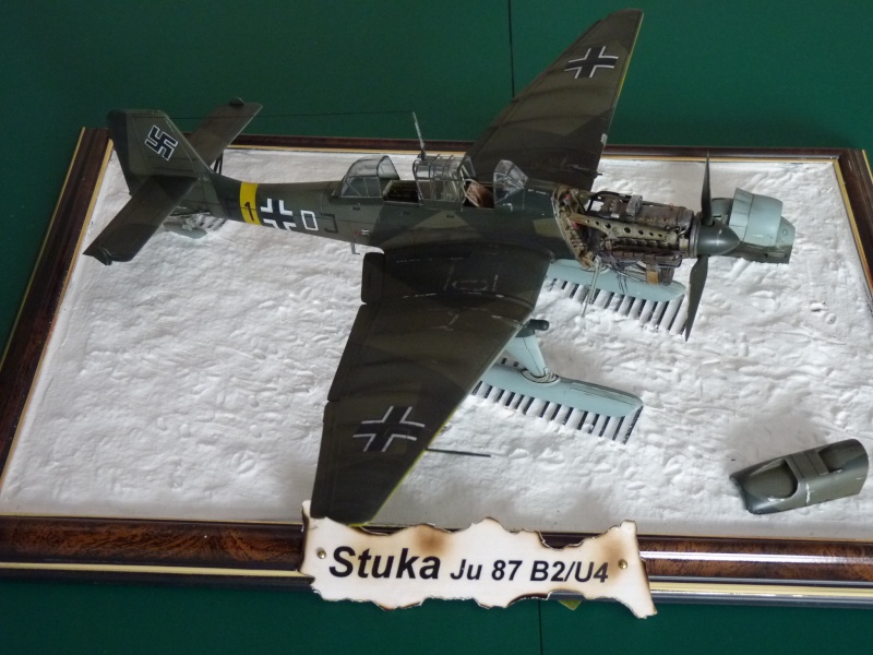 (AYRTSEN) Junkers Ju87B-2/U4 w/Ski   FINI - Page 4 P1020740