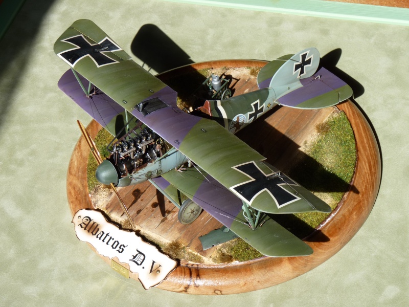 ALBATROS D V  Wingnuts  1/ 32   FINI - Page 4 P1020836