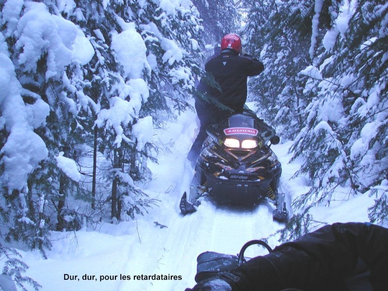 Aller un petit tour au Canada en moto neige Poudre10