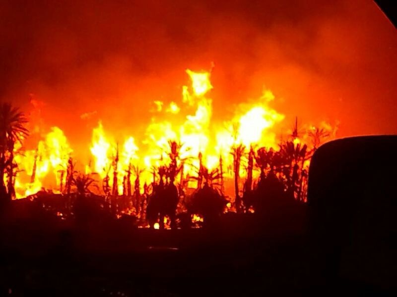 حريق هائل في مزرعة نخيل خيبر بالصور 3_bmp10