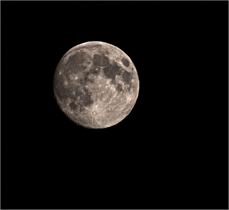  La lune de ce soir ! P8197911