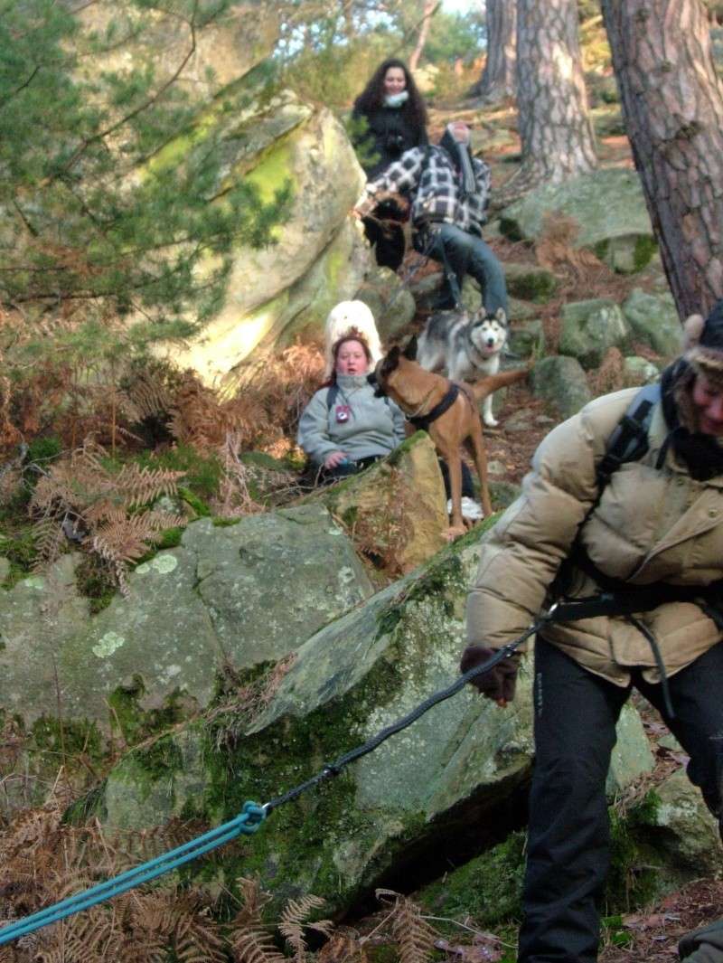 Randonnée et pic nic en foret de fontainebleau le 30 Janvier 2011 - Page 5 Dscf0236