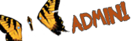 Para-Admin Para-Admin