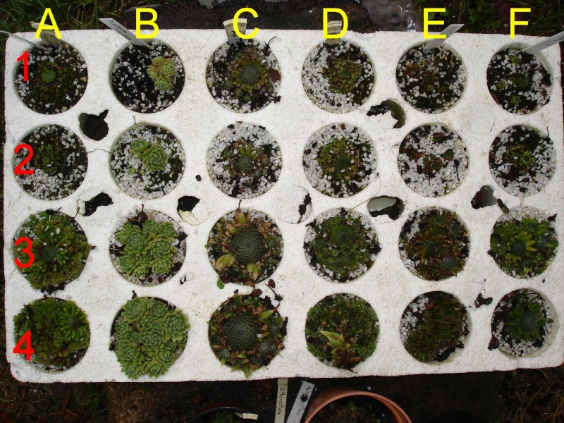 What type soil do you use?? Experi10