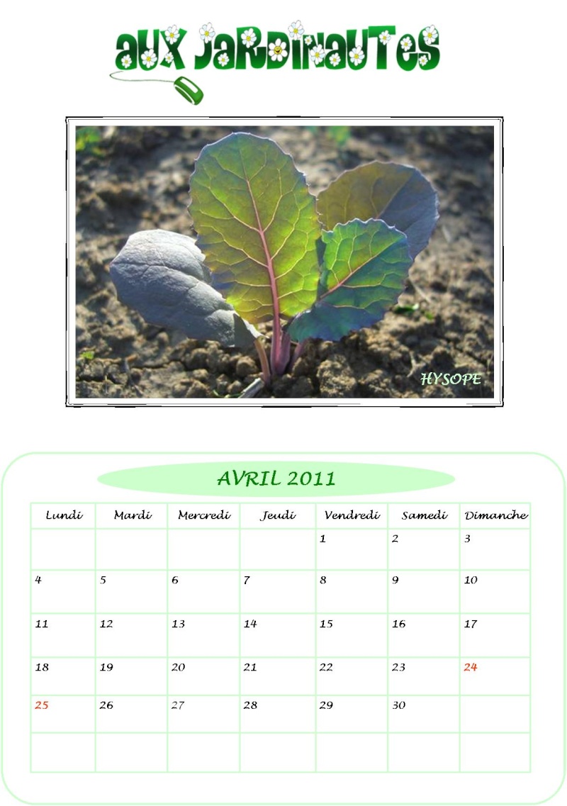 Calendrier 2011 410