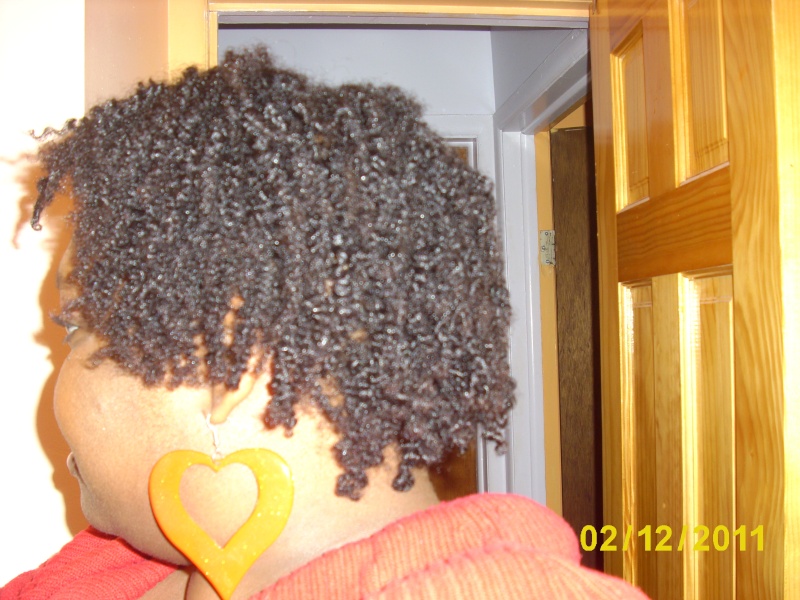 SheeTacular's Hair Journey - Slide show! - Page 32 Dsci2612
