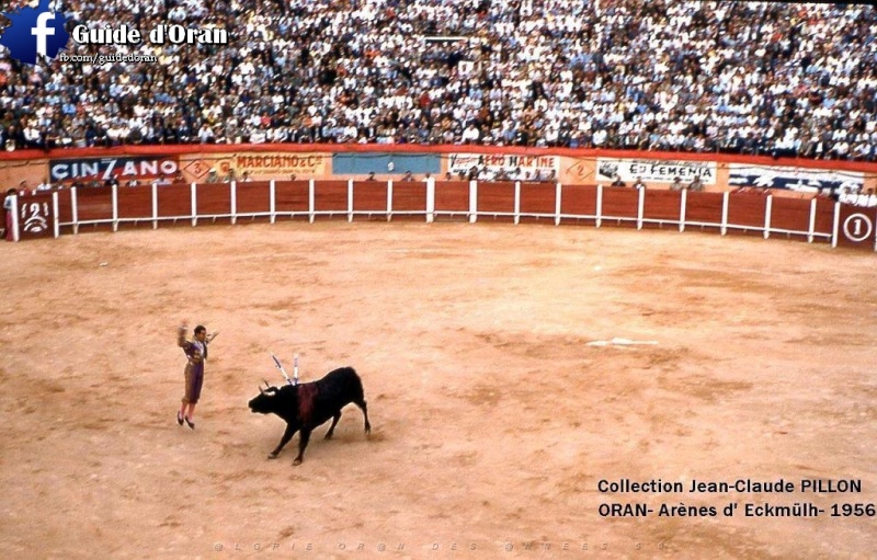 Les Arènes d'Oran Oran_a11