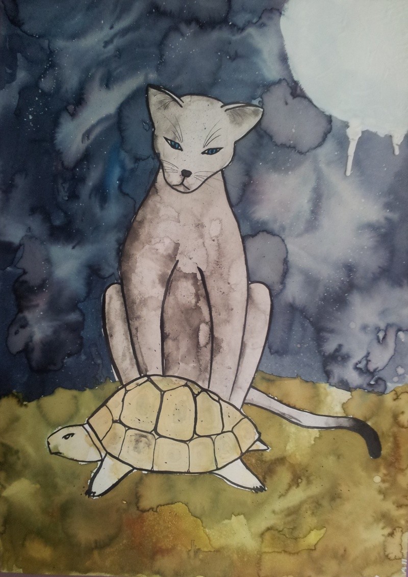 Chat et tortue Chat_e10