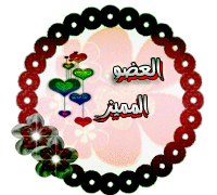 العضو المميز العضو المميز