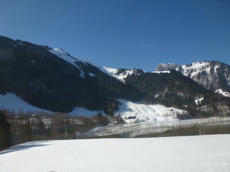 Golden Pass , Bernina et Glacier Express au printemps 2013 1-gold13