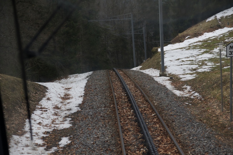 Golden Pass , Bernina et Glacier Express au printemps 2013 6-vill16